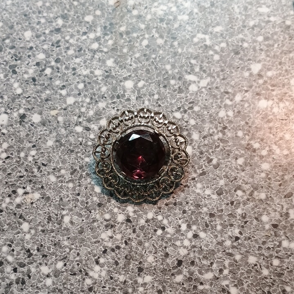Elegant Silver and Purple Brooch